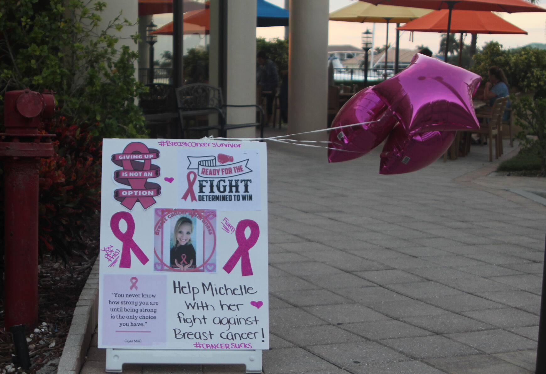 Woman Fights 4. A poster explains the reason for the fundraising gathering..jpg
